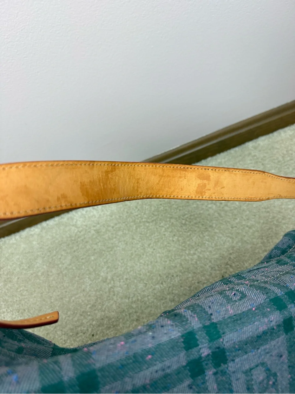 Dooney & Bourke purple green